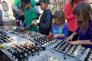 Children plant seeds in the Children's Garden and Outdoor classroom during MLK day of Service