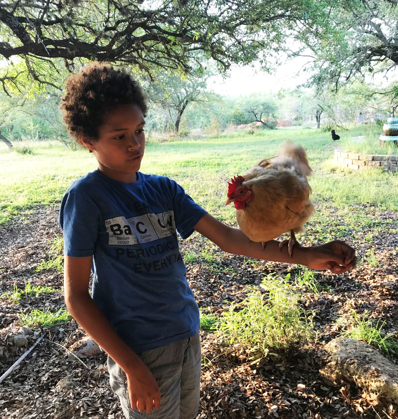 boy with chicken balanced on arm